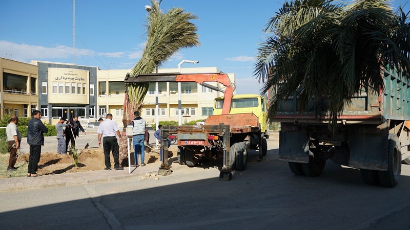 به مناسبت روز درختکاری انجام شد:‌  کاشت دو نفر درخت خرما در معاونت بهره‌برداری برق منطقه‌ای یزد